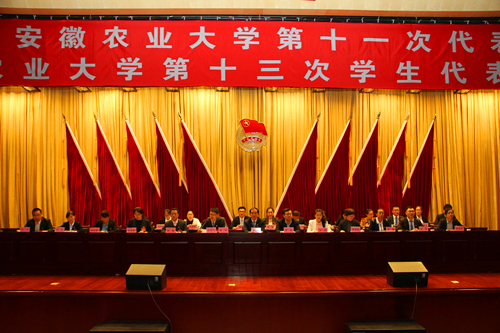 共青團安徽農(nóng)業(yè)大學第十一次代表大會